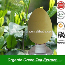 Premium Instant Green Tea Extract Powder EGCG Catechin Polyphenol em Steviosides a granel para extrato de chá verde antioxidante